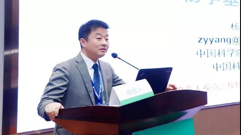 1577686750149902.jpg 6.jpg